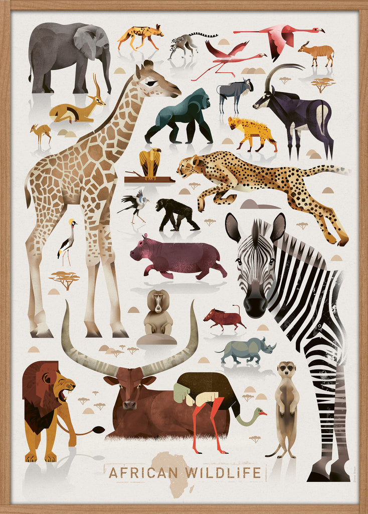 Afrika dyreplakat - plakatcph - Plakatcph.com - plakater, posters og boligdesign