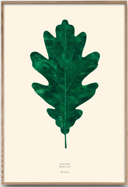 Plant Series  Quercus Alba ( Oak Leaf ) - Plakatcph.com - plakater, posters og boligdesign