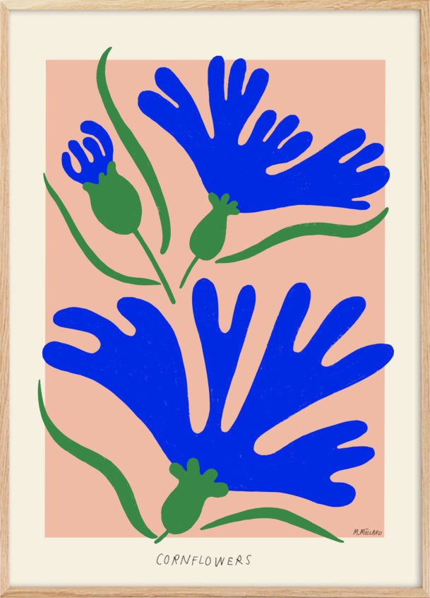 Cornflowers poster - posters by Madelen Möllard - Plakatcph.com - posters, posters and home designs