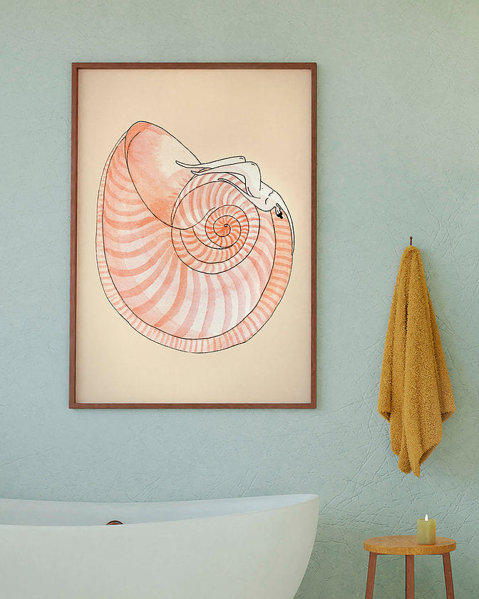Seashell Symphony poster - Plakatcph.com - posters, posters and home designs